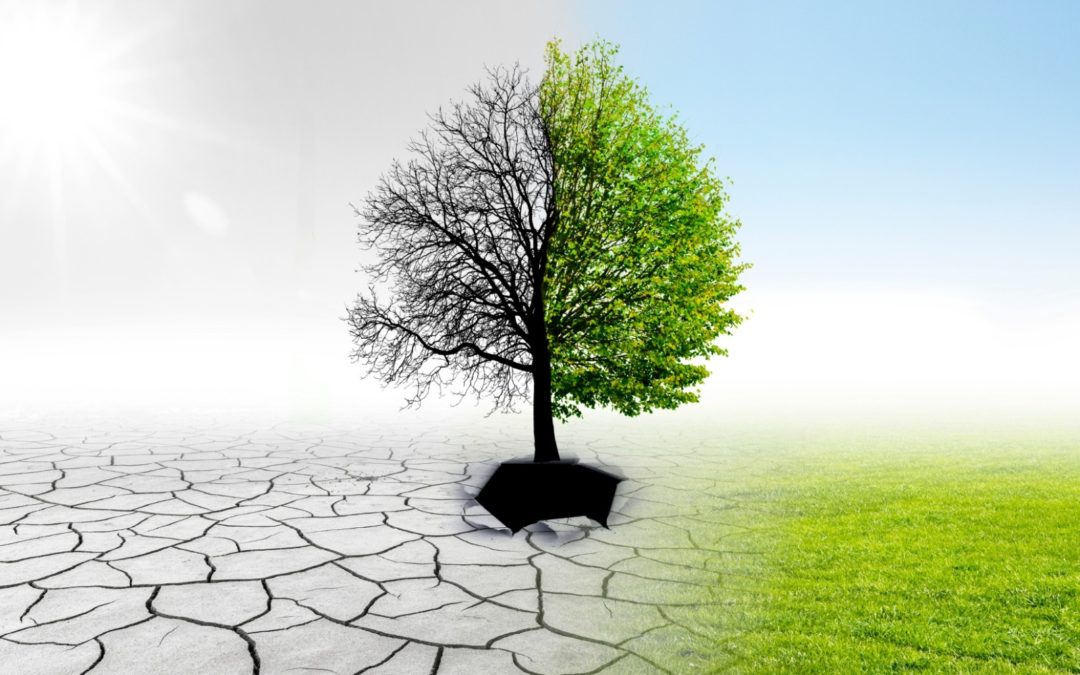 Leading Change Checklist for Success